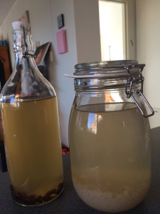 First ferment on the right and second ferment on the left